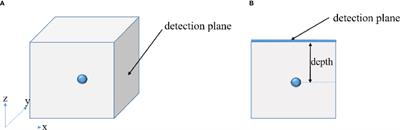 Prior Compensation Algorithm for Cerenkov Luminescence Tomography From Single-View Measurements